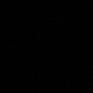 Meet your Posher, Booie